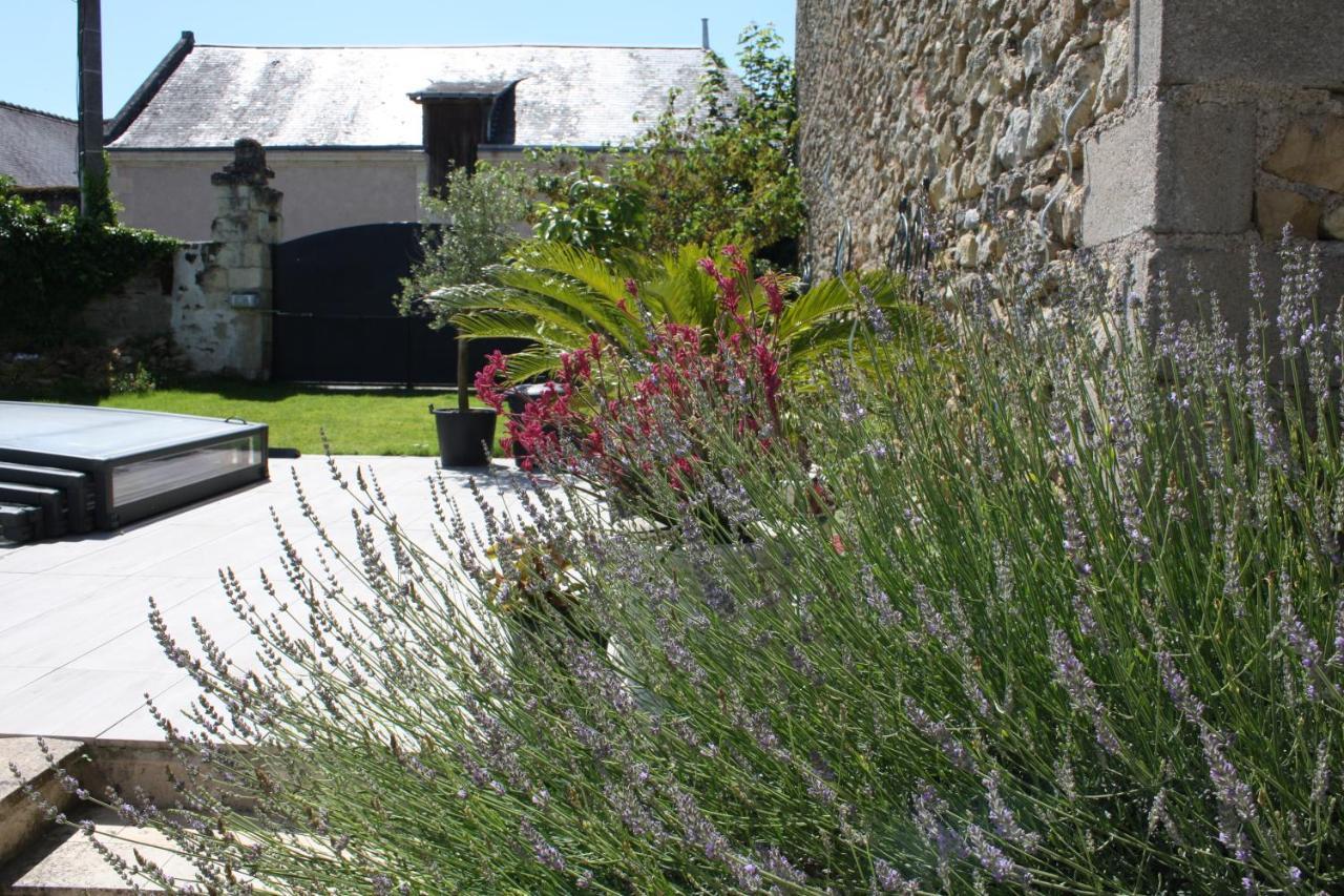 La Douce France Trianon Vila Chinon Exterior foto